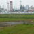 コストコ予定地＝手前＝には（左から）ＥＮＥＯＳウイング、宇佐美、エネフリのＳＳが林立している…岐阜県羽島市で