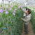 「より良い花をより多くの人に提供したい」。人と自然に優しい栽培に取り組むカクタ花農場